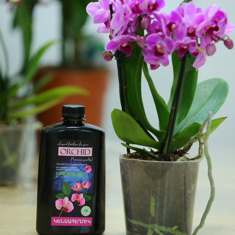 Bio Liquid for orchids and epiphyte plants 0.5L