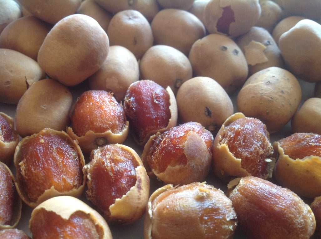 Balanites – Arabian Organics