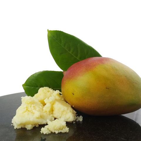 Mango Butter in Bulk – Mangifera Indica Seed  Butter