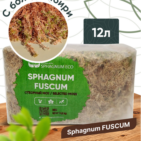 Moss Sphagnum 12 litres packet
