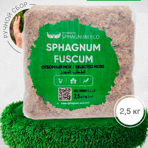 Moss Sphagnum 40 litres packet