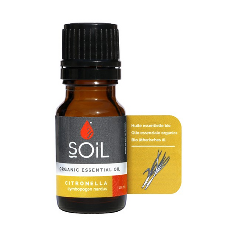 SOiL Organic Aromatherapy - Citronella Essential Oil