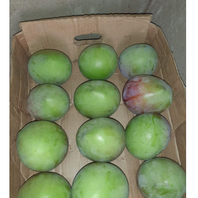 Kenya Apple mangoes