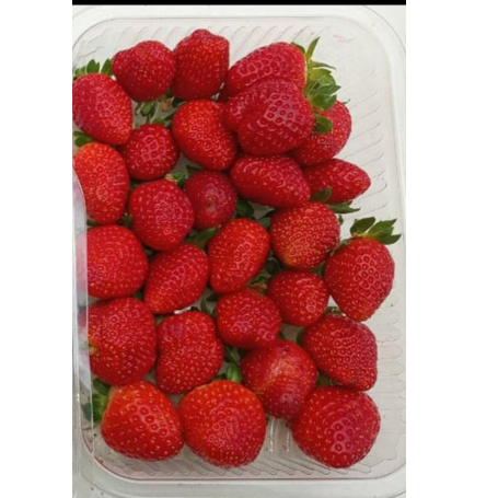 Strawberries - Kenya