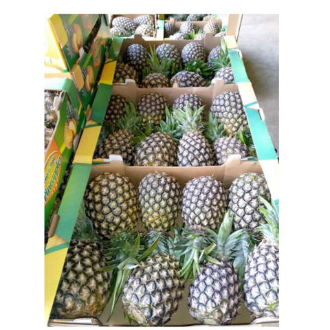 Pineapples - Kenya