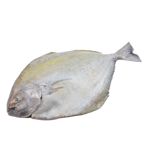 BLACK PROMFRET