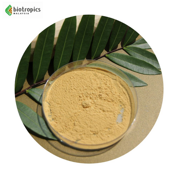 Physta® Standardized Eurycoma longifolia (Tongkat Ali) Extract ...