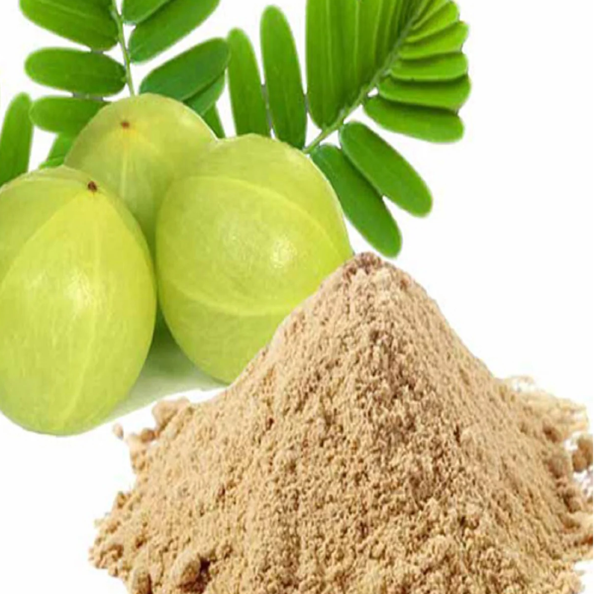 Organic Amla Powder – Arabian Organics