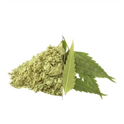 Organic Neem Leaves Powder