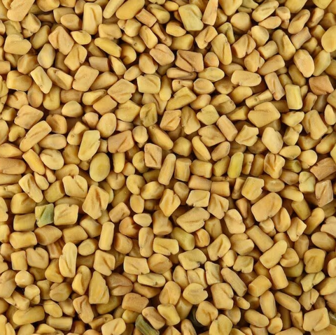 Organic Fenugreek Seed