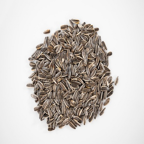 Organic Sunflower Seed