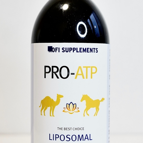 Pro-ATP Liposomal for Horses and Camels