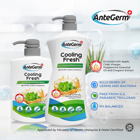 AnteGerm+ Total Protect Antibacterial Hand Wash 450ml