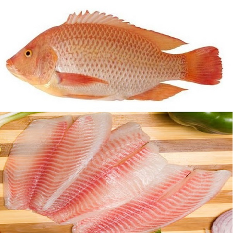 Sea Tilapia & Fillet