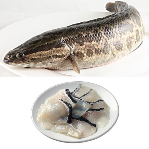 Haruan fish & fillets - Emperor snakehead fish