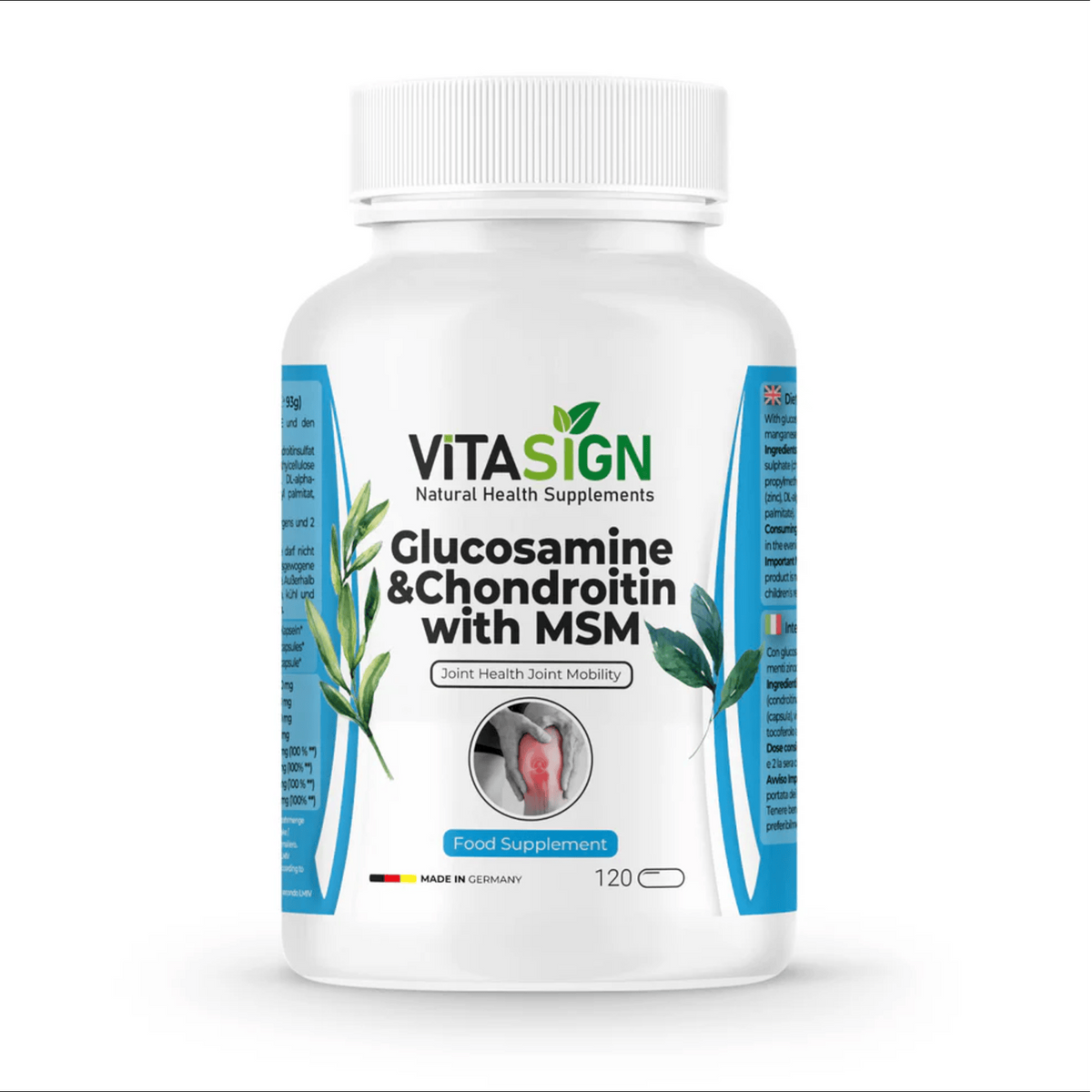 ViTASIGN Glucosamine & Chondroitin with MSM, 120 Capsules – Joint Heal ...