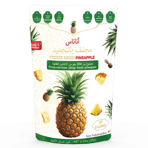 FREEZE DRIED PİNEAPPLE