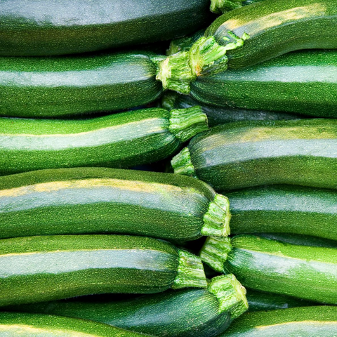 Organic Green Zucchini