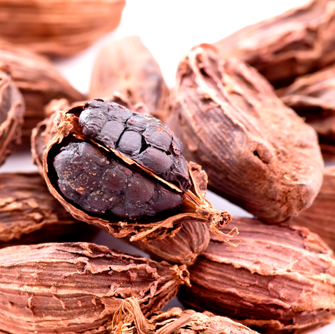 Nepal Black Cardamom