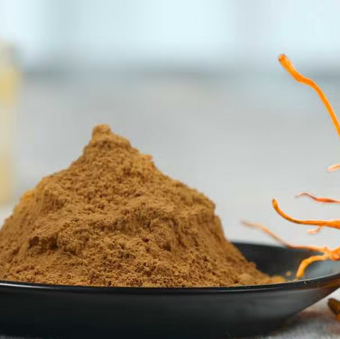 Organic Cordyceps militaris Powder