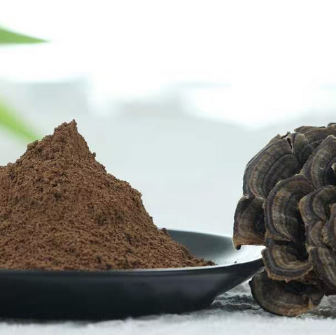 Organic Turkey tail （Trametes versicolor）Powder