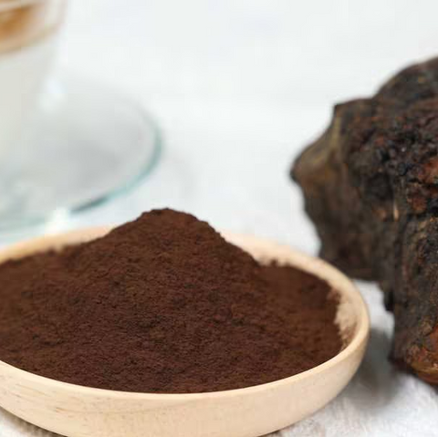 Organic Chaga (Inonotus obliquus) Extract 8:1