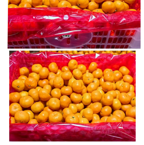 nanfeng baby mandrin