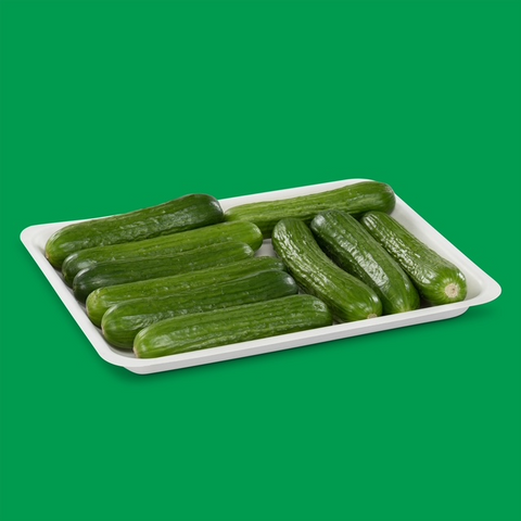 Green & Biodegradable Cucumber Tray