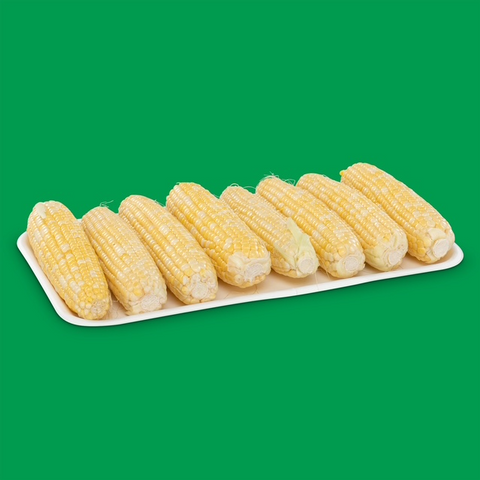 Green & Biodegradable Fresh Corn Tray
