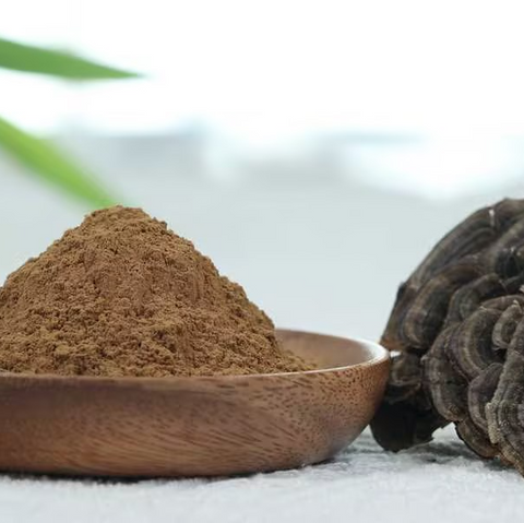 Organic Turkey tail （Trametes versicolor）Extract 12:1