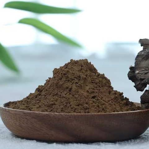 Organic Maitake（Grifola frondosa） extract 8:1