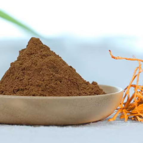 Organic Cordyceps militaris extract 8:1