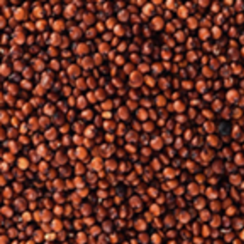 Red Royal Quinoa