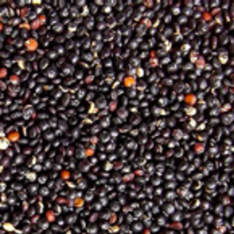 Black Royal Quinoa