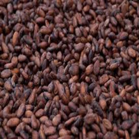 Premium Cacao