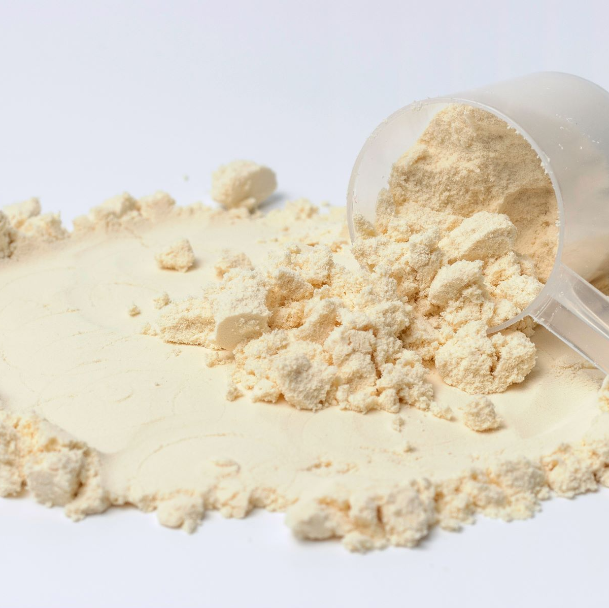 Macadamia Protein Powder – Arabian Organics