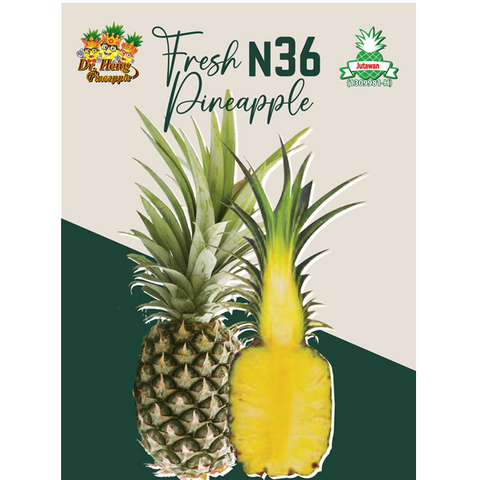 Malaysian N36 Pineapple