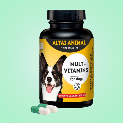 Multivitamins for Dogs