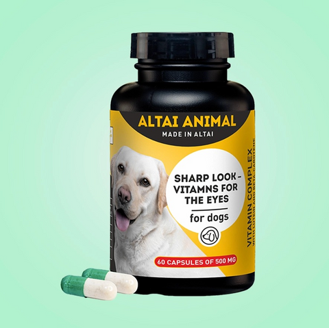 Keep your pet's eyes sharp – eye vitamins