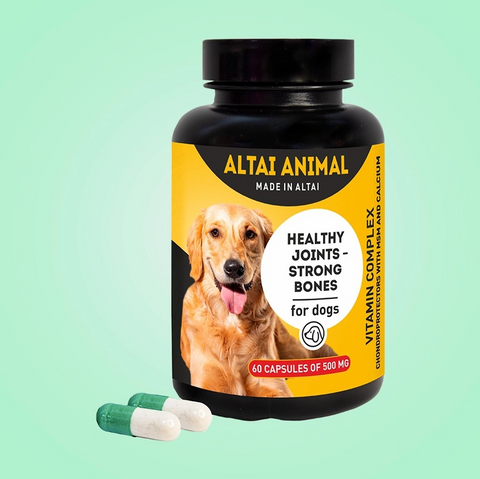 Healthy joints mean strong bones For dogs