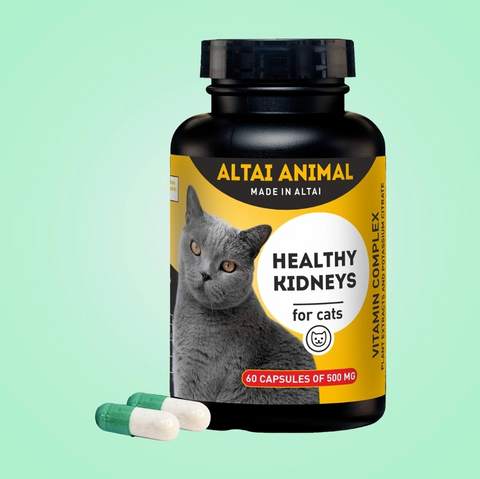 Healthy kidneys for Cat