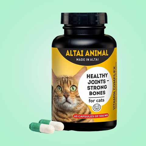 Healthy joints mean strong bones For cats