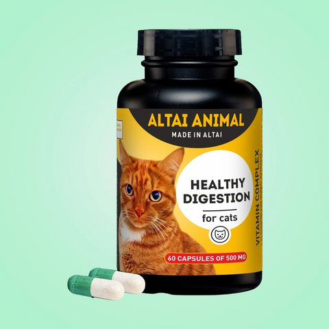 Healthy digestion for Cats