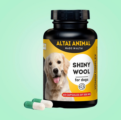 Shiny coat for dogs