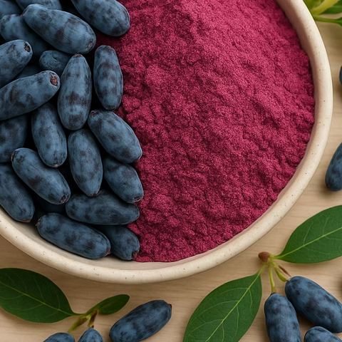 Honeysuckle Berry Powder
