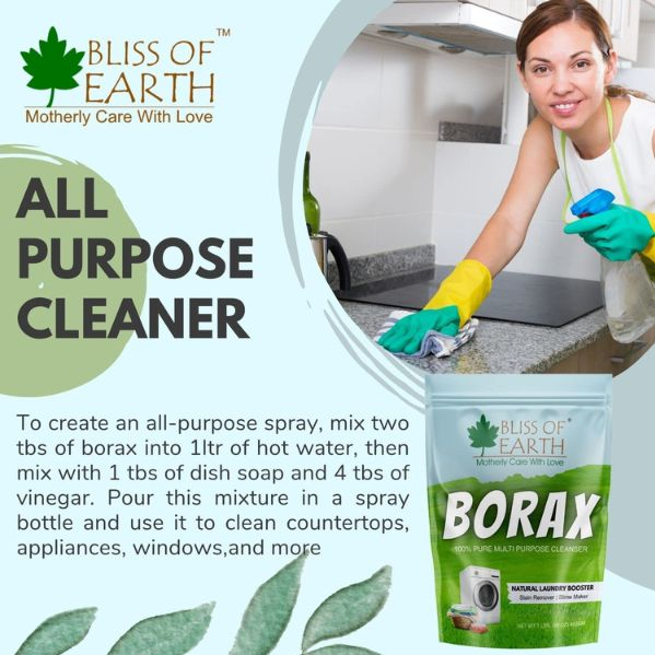 Bliss of Earth American Borax Detergent Booster Powder 453 GM