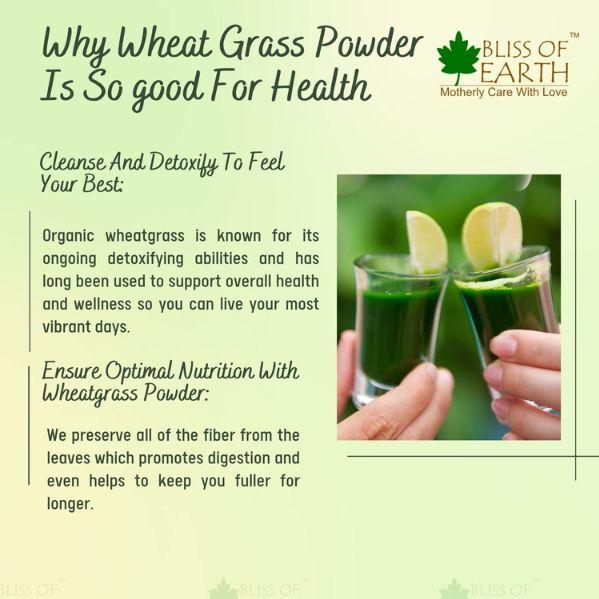 Bliss of Earth Organic Wheatgrass Powder 100 gm Arabian Organics
