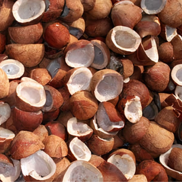 Coconut copra : Milling copra