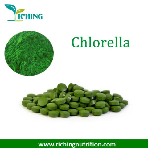 Chlorella Powder/Tablet