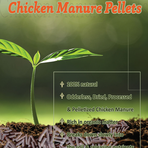 Chicken Manure Pellets